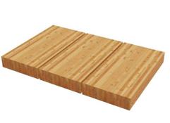Glue-Laminated Timber<br />
GLT