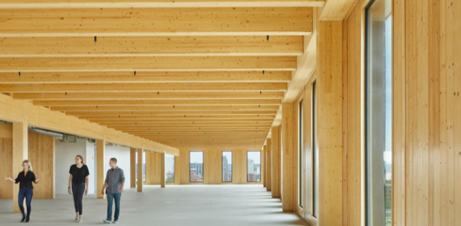 Wide open mass timber space