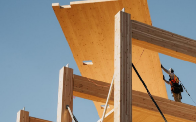 Mass Timber Construction: Human-Centered Design