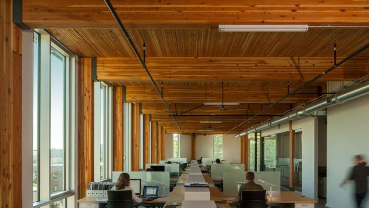 Mass Timber Office Building