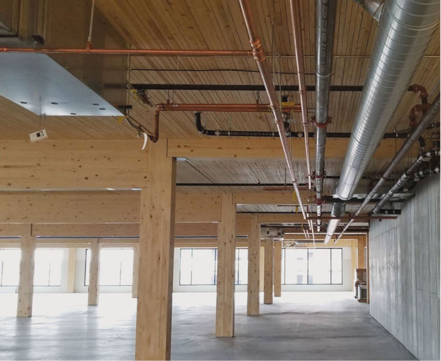 Mass Timber Framing Systems