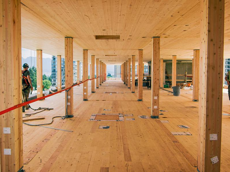 Mass Timber Construction Site
