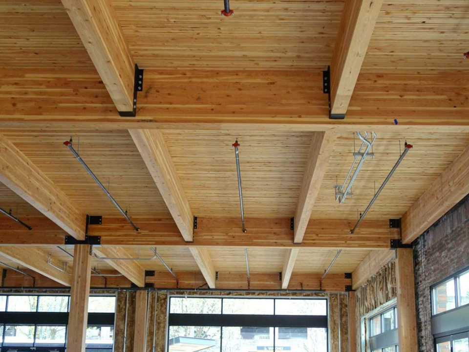 Mass Timber Exposed Ceiling
