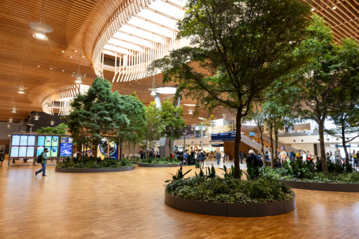 Portland Airport Biophillic Design with Live Trees